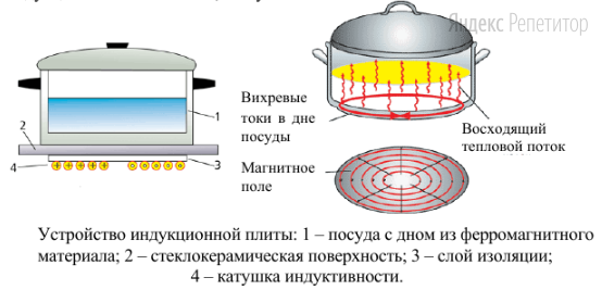 Прочитайте текст и выполните задание.