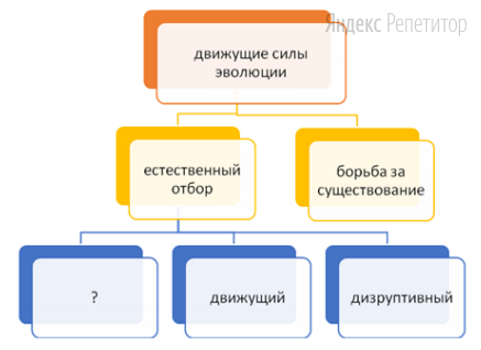 Рассмотрите схему основных движущих сил эволюции.