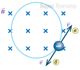 Определите направление скорости движения отрицательно заряженной
частицы, которая в магнитном поле, направление линий индукции которого
показано на рисунке, движется по показанной на рисунке окружности.