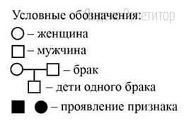 По изображённой на рисунке родословной определите вероятность в процентах рождения ребёнка с признаком, обозначенным чёрным цветом у родителей, обозначенных цифрами ... и ....