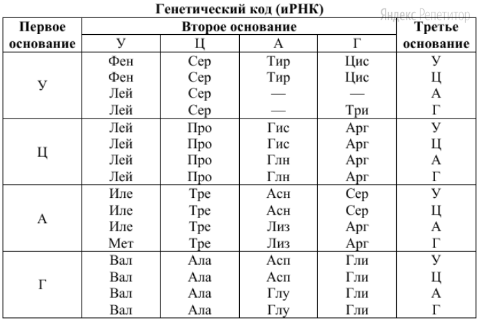 Для решения задания используйте таблицу генетического кода.