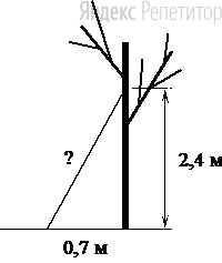 Найдите длину лестницы, которую прислонили к дереву, если её верхний конец находится на высоте ... м над землёй, а нижний отстоит от ствола дерева на ... м.