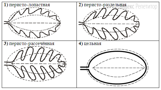 Формы Листа Фото