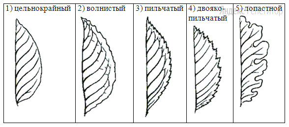 Д. Край листа