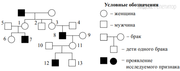 По изображённой на рисунке родословной определите и обоснуйте
генотипы родителей, потомков, обозначенных на схеме цифрами 1, 6, 7. 