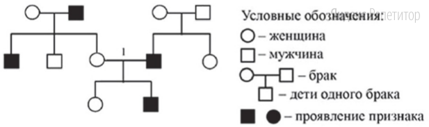 По изображённой на рисунке родословной определите вероятность (в процентах) рождения в браке 1 ребёнка с признаком, обозначенным чёрным цветом, при полном доминировании этого признака.