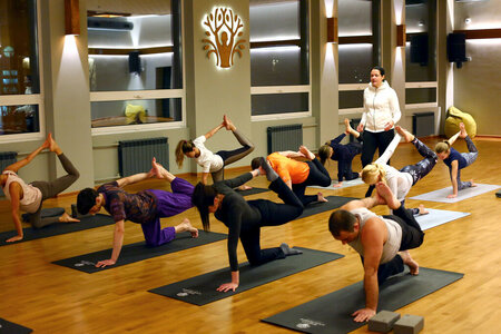 Power Yoga, Виньяса флоу, йога Айенгара, йога в гамаках