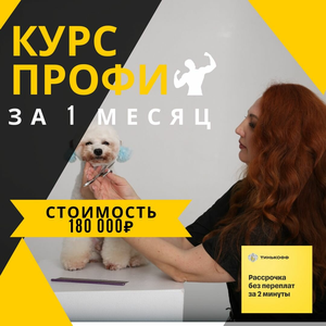 Курс груминга с нуля. Профи за 1 месяц! Есть рассрочка!