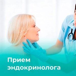 Прием эндокринолога в г. Мурманск