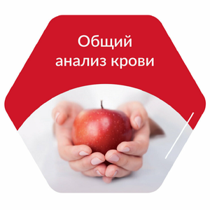 Общий анализ крови (5-diff)