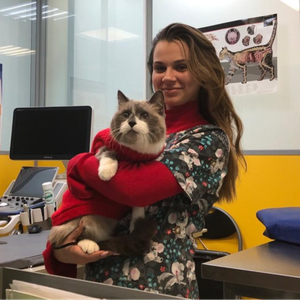 Кастрация котов