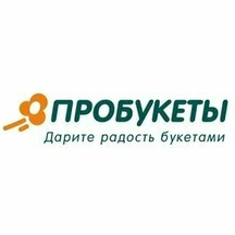 ProBukety (Российская ул., 202), магазин цветов в Челябинске