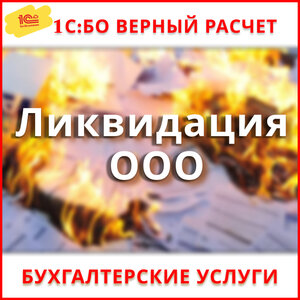 Ликвидация ООО и ИП. Быстро и с гарантией! 