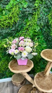 Композиция 29