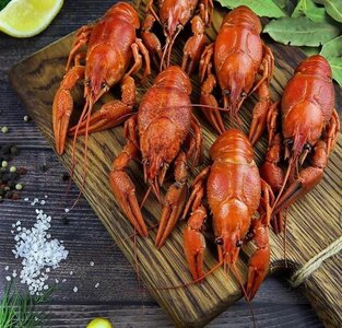 Живые раки 6 категории