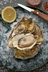 Розовая Джоли L устрица (50/70) Намибия