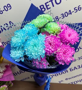 Выпускник 