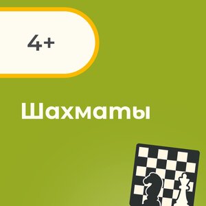 Шахматы