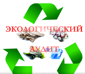 Экологический аудит