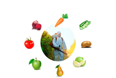 Внимание! Определение пестицидов в продуктах. 