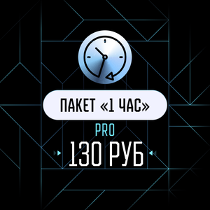 1 час, PRO (08:00—22:00)