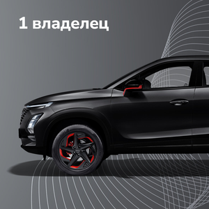 1 владелец