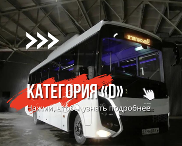 Польный курс на категорию D до 31.12.2024 г.