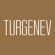 Turgenev (Костянский пер., 13, Москва), жилой комплекс в Москве