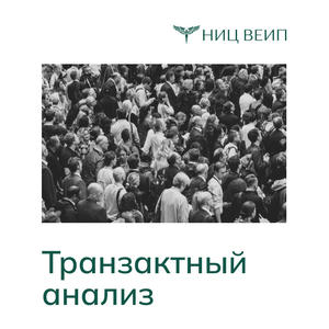 Транзактный анализ (авторский цикл)