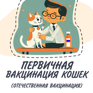 Первичная вакцинация кошек (отчечественная вакцина)