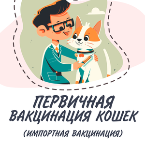 Первичная вакцинация кошек (импортная вакцина)