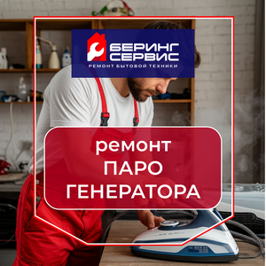 Ремонт парогенераторов. Сервисный центр. Гарантия 6 мес.