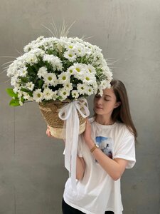 Корзина Прованс