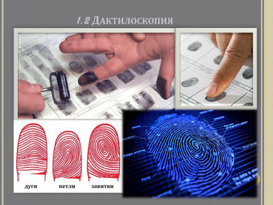 Дактилоскопическая экспертиза за 24 часа