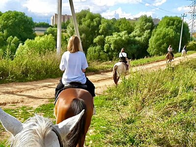 Конные прогулки. Индивидуальные маршруты