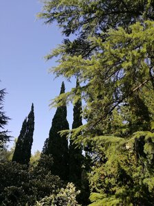 Туры в Краснодарский край