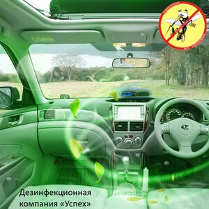 Дезинфекция салона авто