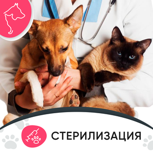  стерилизация и кастрация