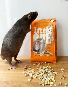 Little One корм для крыс