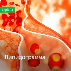 Липидограмма (липидный профиль)