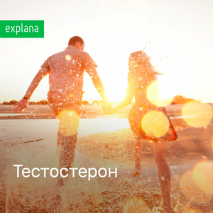 Тестостерон
