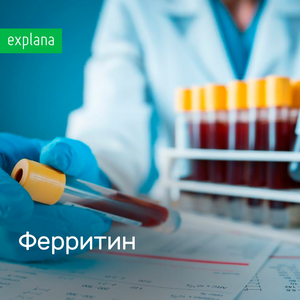 Ферритин