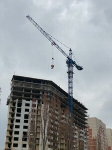 Аренда башенного крана Ростов-на-Дону