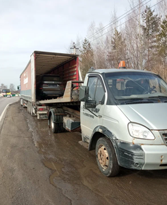 Эвакуация газелей