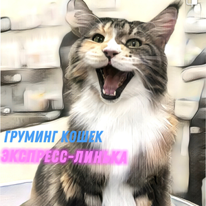 Экспресс-линька мейн-куна, груминг кошек! Вычесывание!