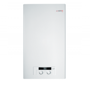 Protherm Lynx (рысь) N-RU газовый котел
