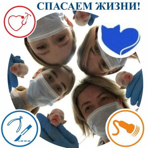 Операции животным от простых до сложных. Газовый наркоз