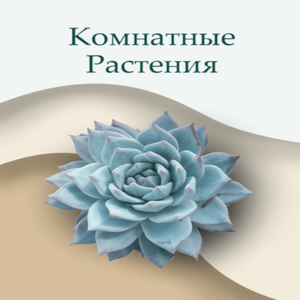 Комнатные растения