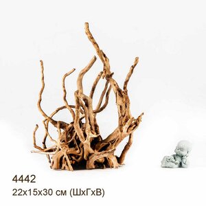 Коряга MASHA BLOOM Корень азалии L - 4442
