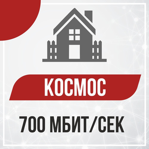 700 Мбит/с — частный сектор
